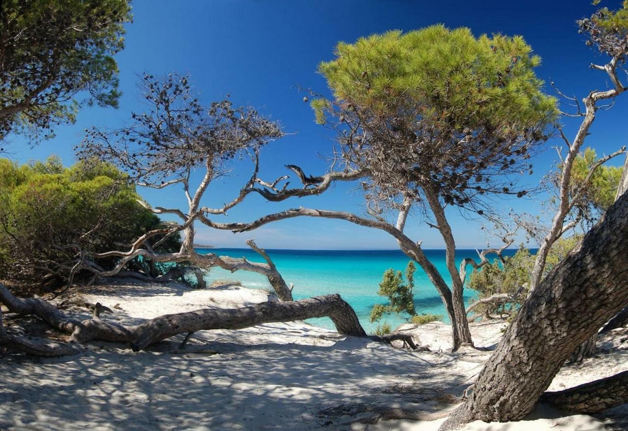 T2 Pour 4 Pers, Charmante Residence Avec Piscine Oletta  Luaran gambar