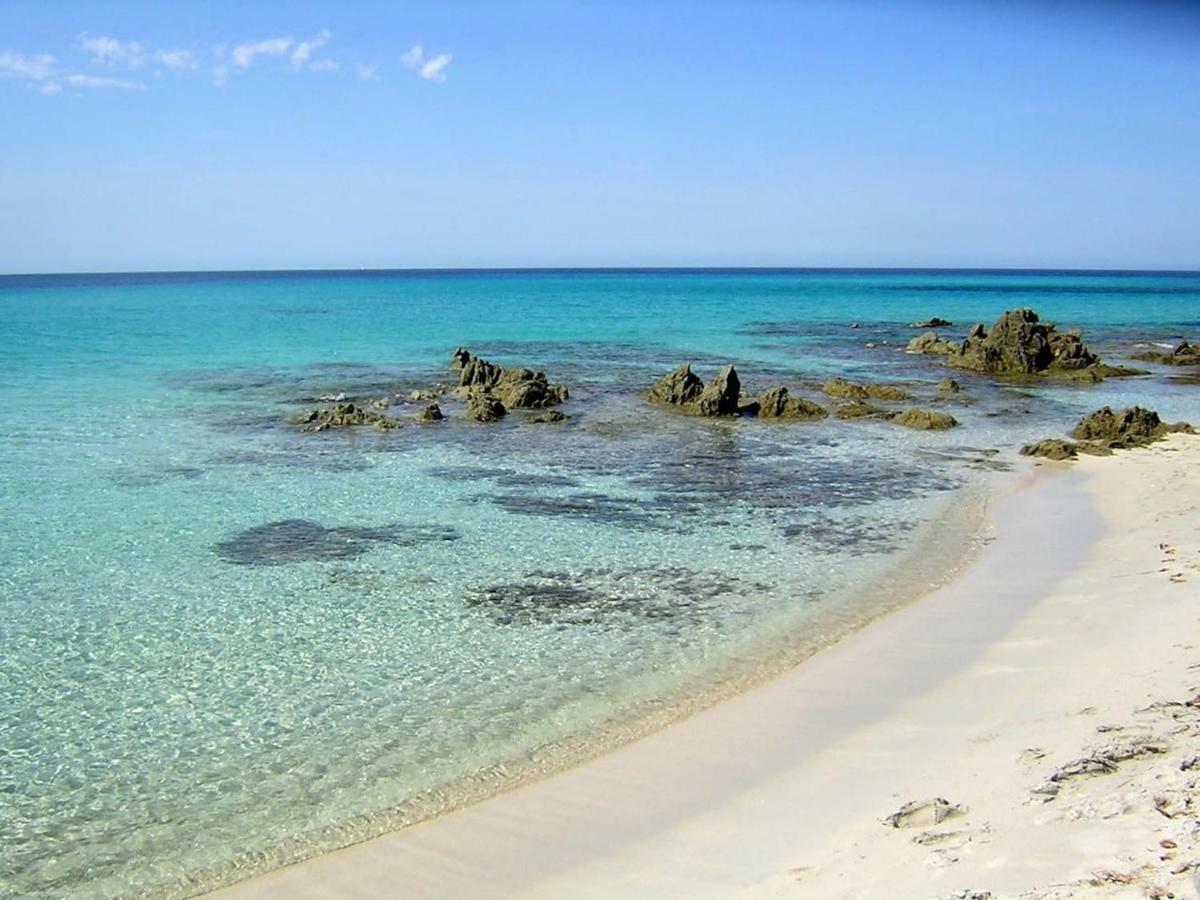 T2 Pour 4 Pers, Charmante Residence Avec Piscine Oletta  Luaran gambar